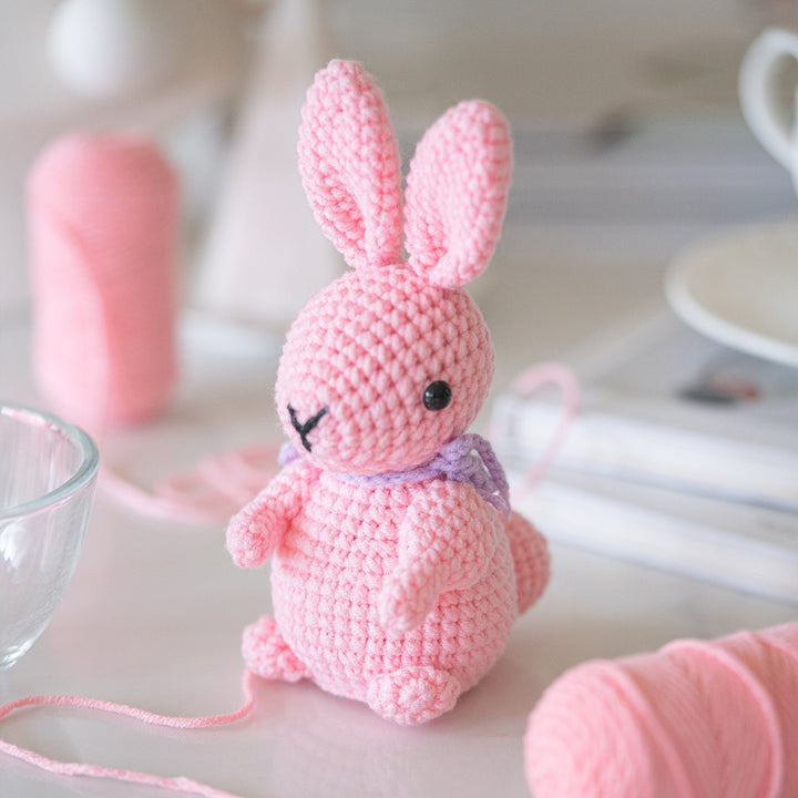 Rabbits Amigurumi DIY Crochet Kit Wizardi F07N8-M172