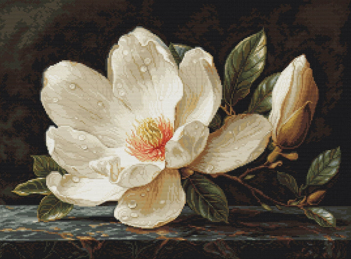 The Magnolia Dew B713L Counted Cross-Stitch Kit