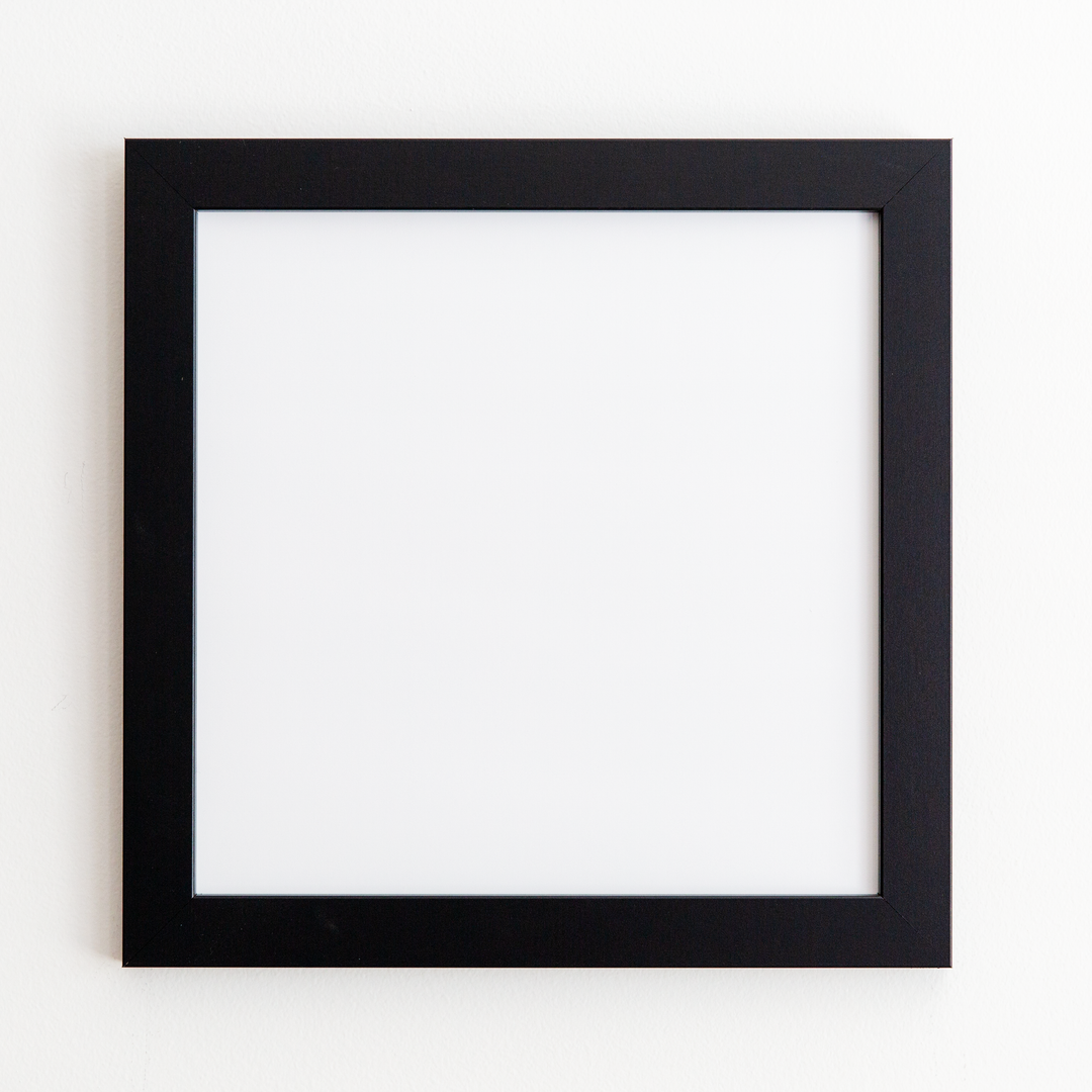 Frame Only