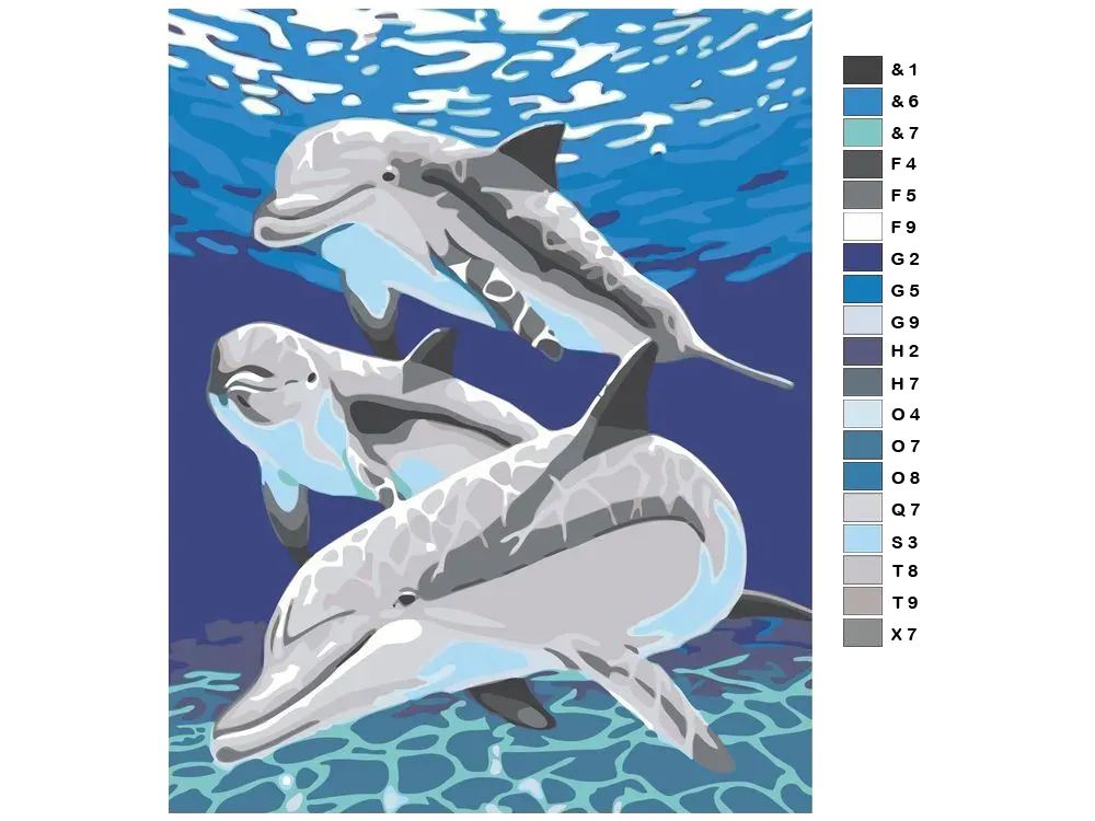 Dolphin Paint by Numbers Kit F07M1-6-Dolphin