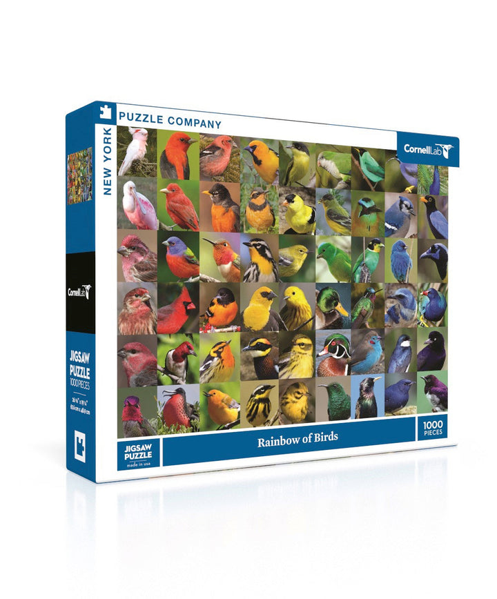 Rainbow of Birds