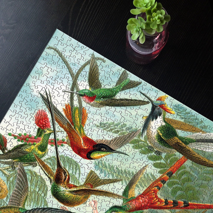 Hummingbirds