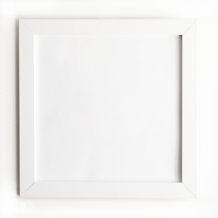 Frame Only