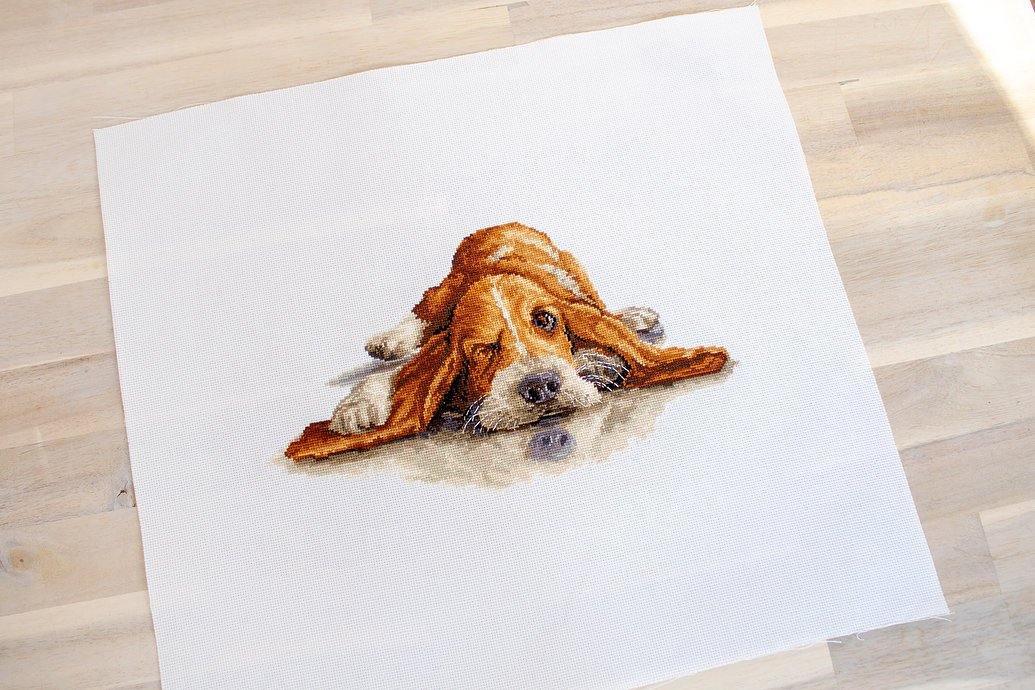 Basset  B2341L Counted Cross-Stitch Kit