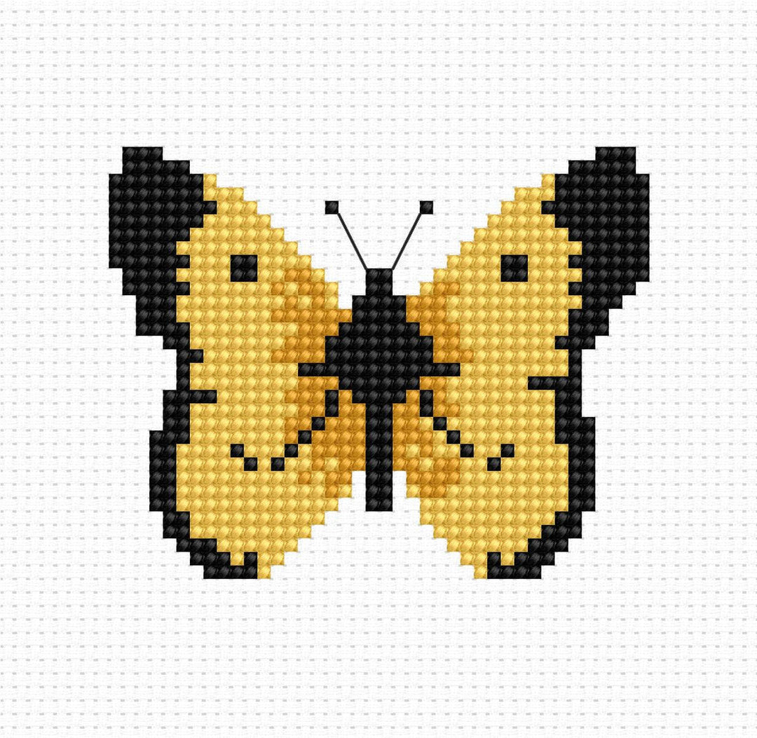 Butterfly B004L Counted Cross-Stitch Kit for Beginners
