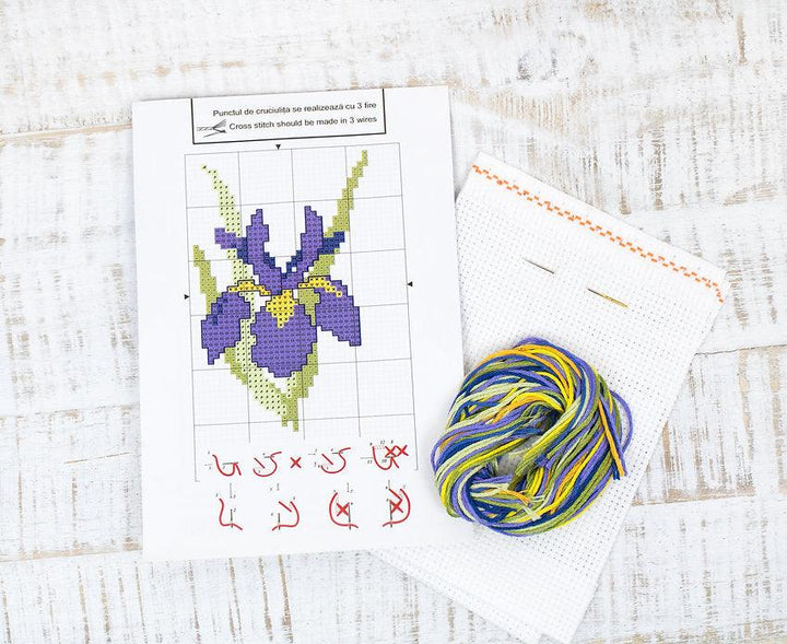Iris B021L Counted Cross-Stitch Kit