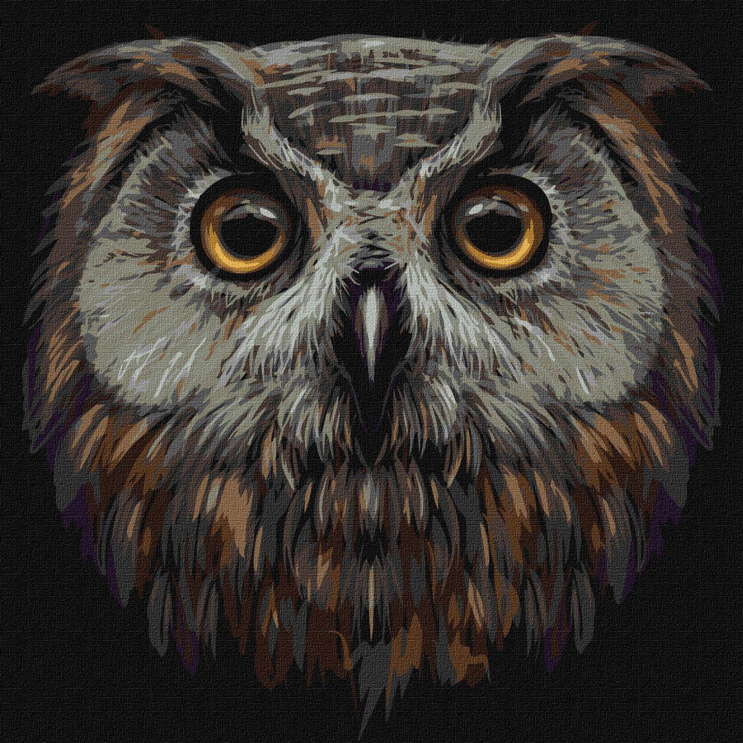 Painting by Numbers kit Bird of wisdom KHO4388