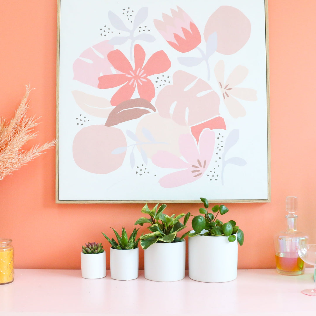 Galaxy Cosmos Cement Planter