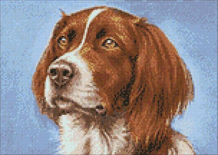 Setter WD181 14.9 x 10.6 inches Wizardi Diamond Painting Kit