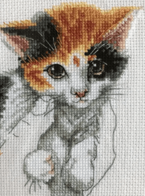 Warmth in palms M819 Counted Cross Stitch Kit