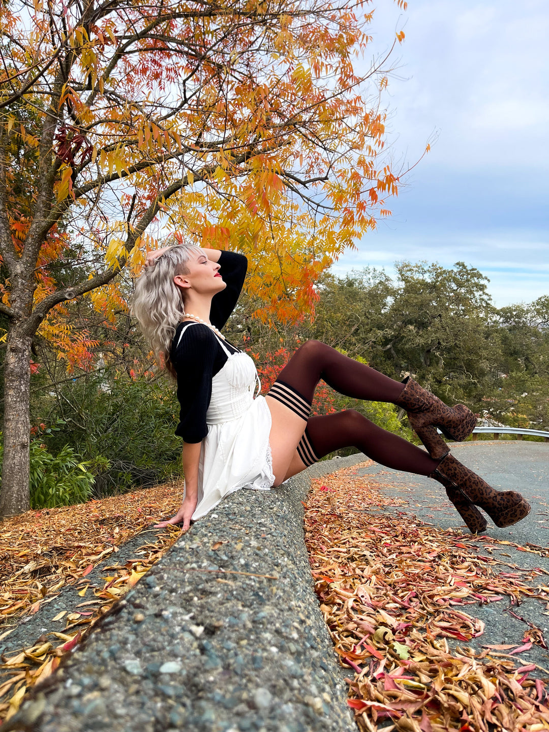 Autumn: Chocolate Opaque Thigh-Highs. Petite to Plus Size