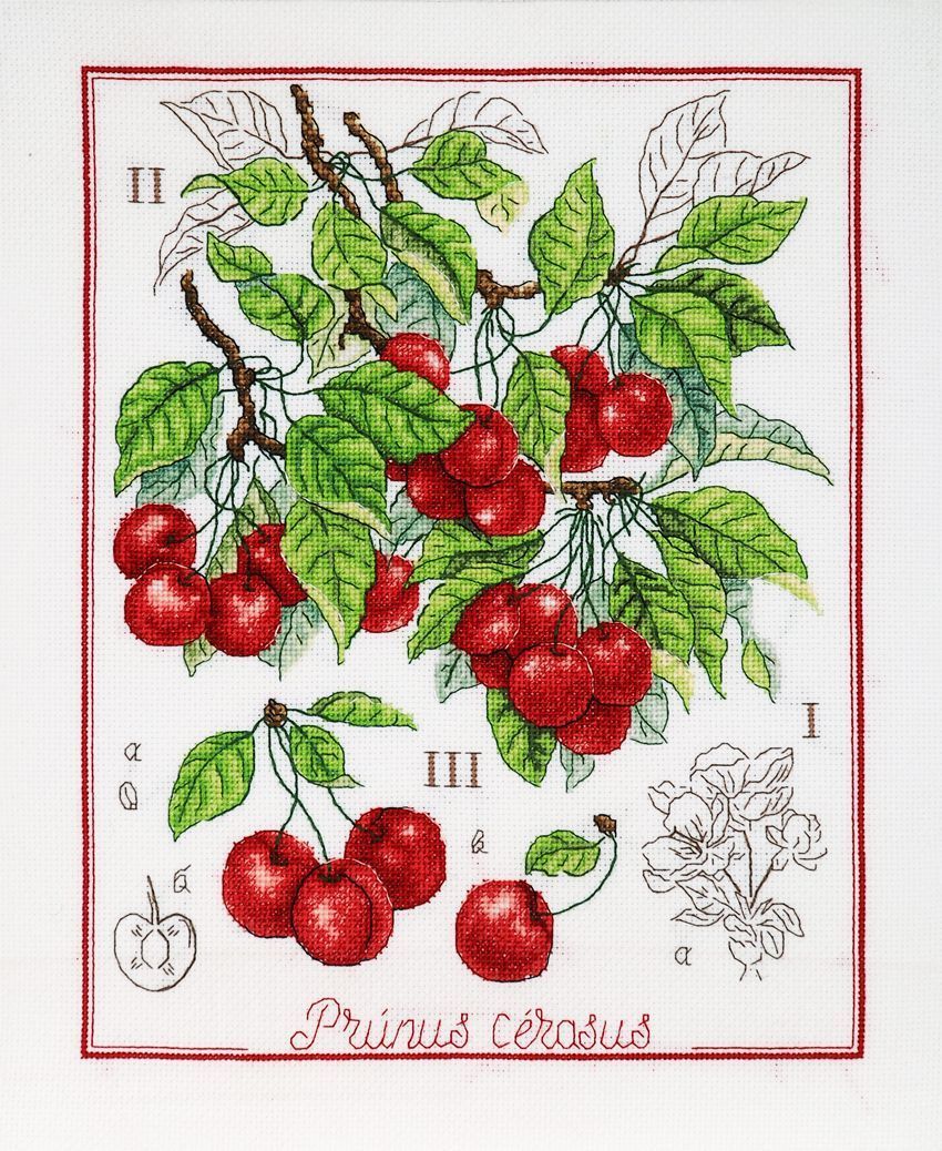 Botanical Battle - Cherry  Counted cross stitch kit 1274A