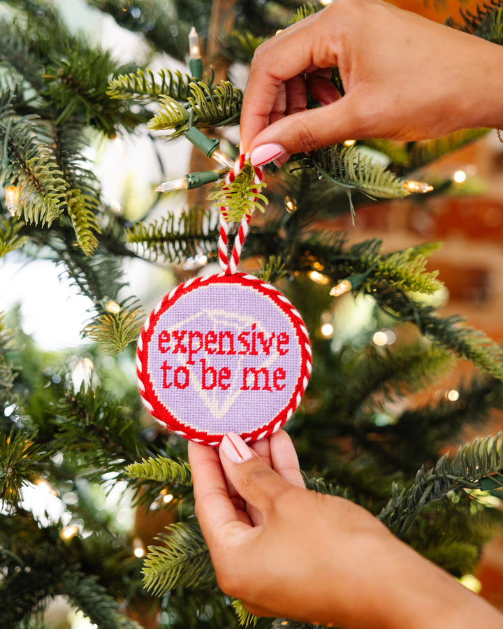 Needlepoint Ornament - Expensive To Be Me