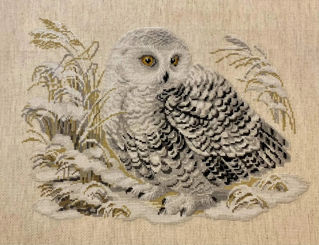White Owl R1241 Counted Cross Stitch Kit