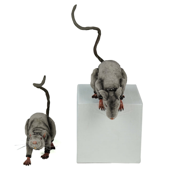 Tabletop and Ledge Hanging Rats Assortment of 2 | Halloween Decor | Katherine's Collection