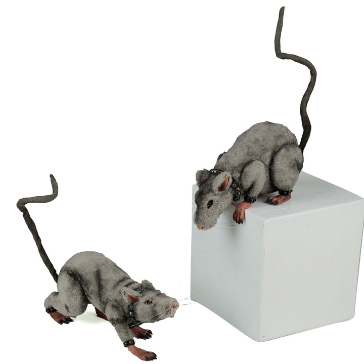 Tabletop and Ledge Hanging Rats Assortment of 2 | Halloween Decor | Katherine's Collection