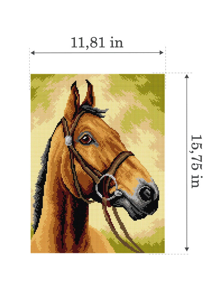 Horse Gobelin Canvas for Half Stitch by Orchidea 3593J