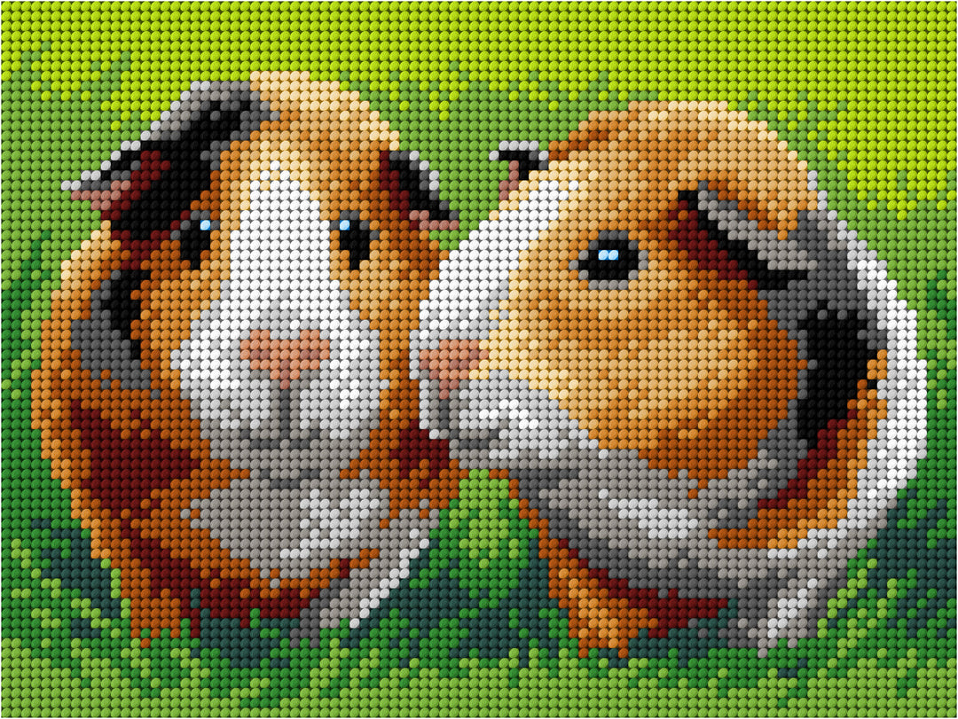 Guinea Pigs Gobelin Canvas for Half Stitch by Orchidea 3615F