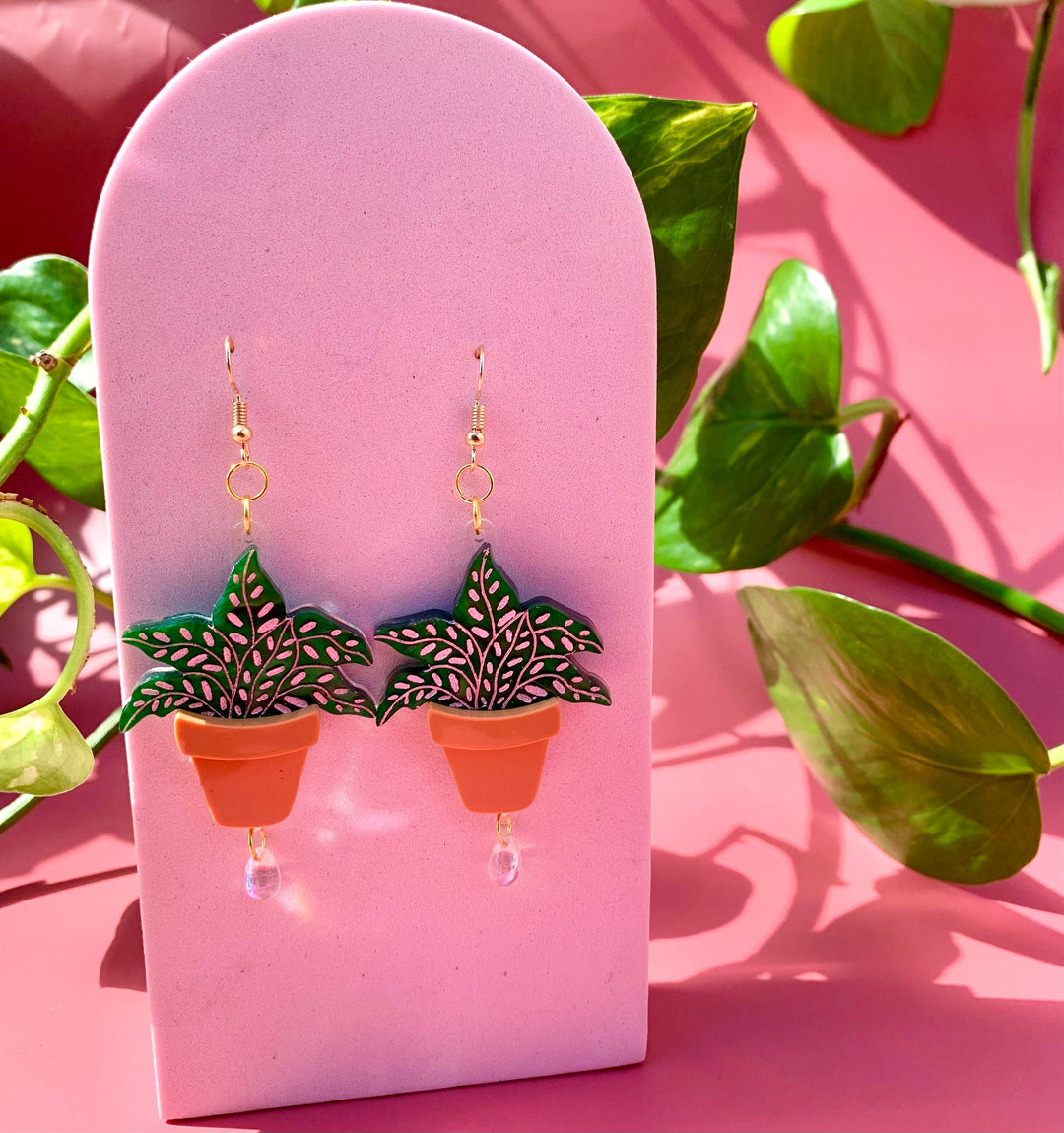 Terracotta Plants Acrylic Earrings