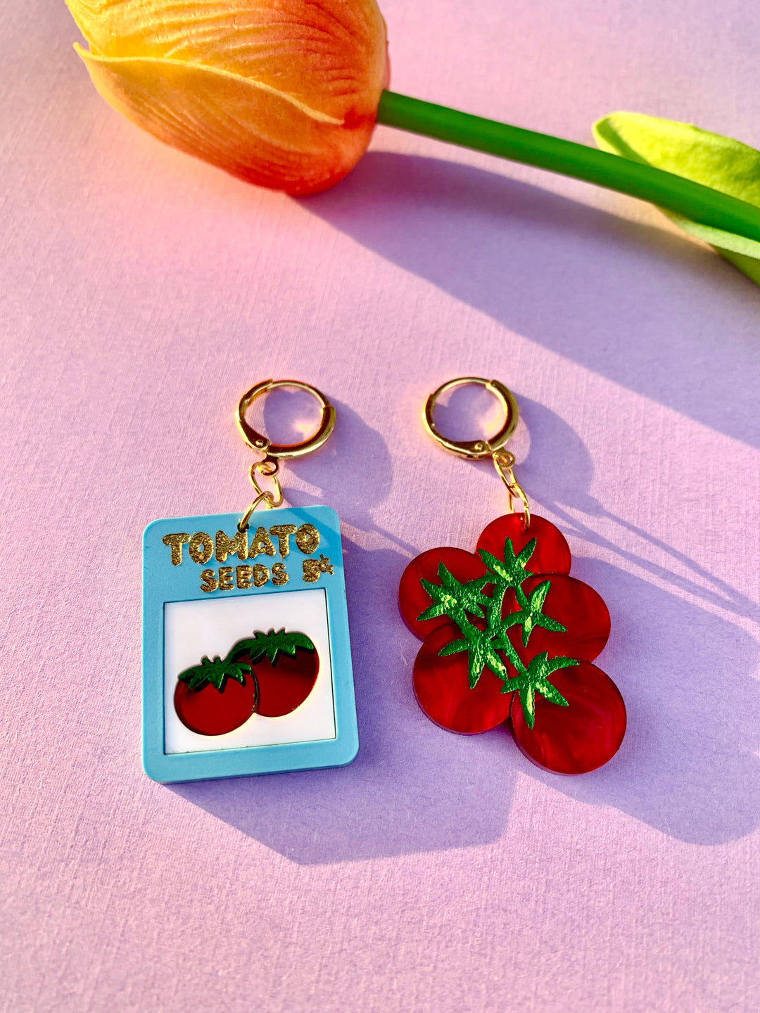 Tomato Seeds Acrylic Statement Earrings