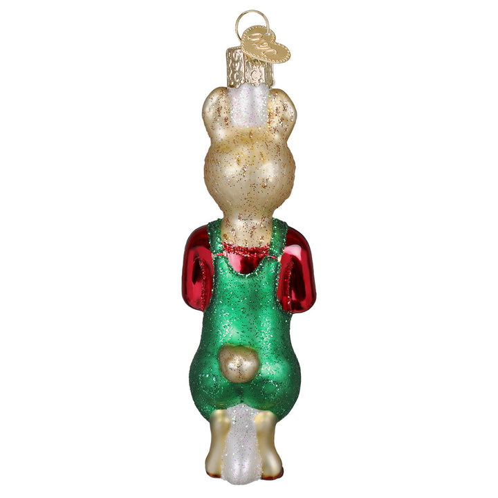 Llama Llama Holding Books Ornament