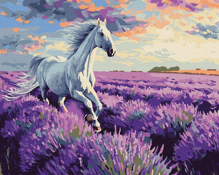 Painting by Numbers kit In the lavender fields KHO6659