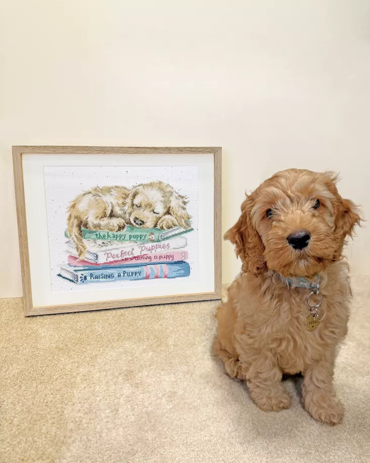 A Pup's Life Counted Cross Stitch Kit by Bothy Threads XHD153