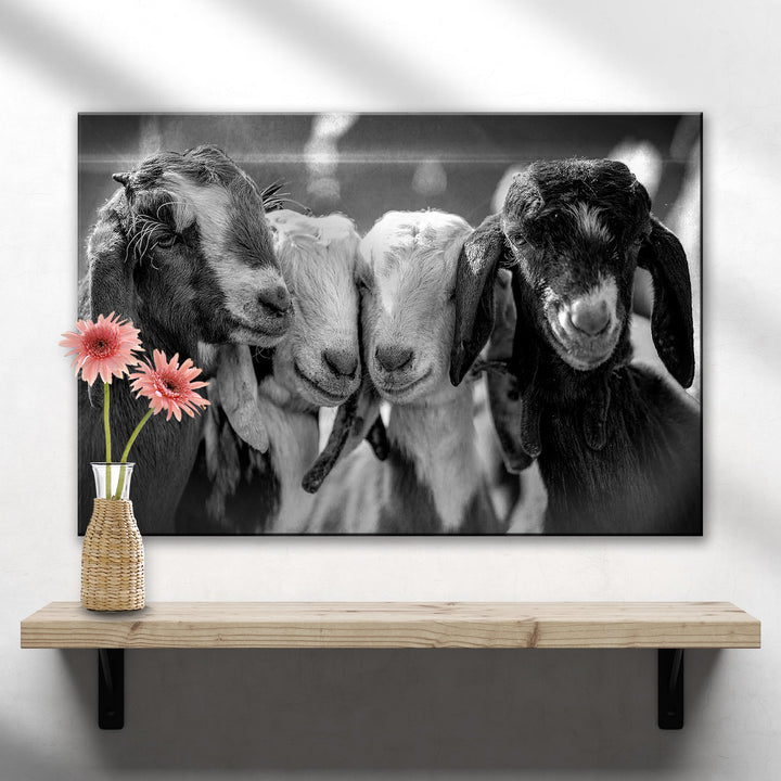 Black And White Baby Goats Canvas Wall Art