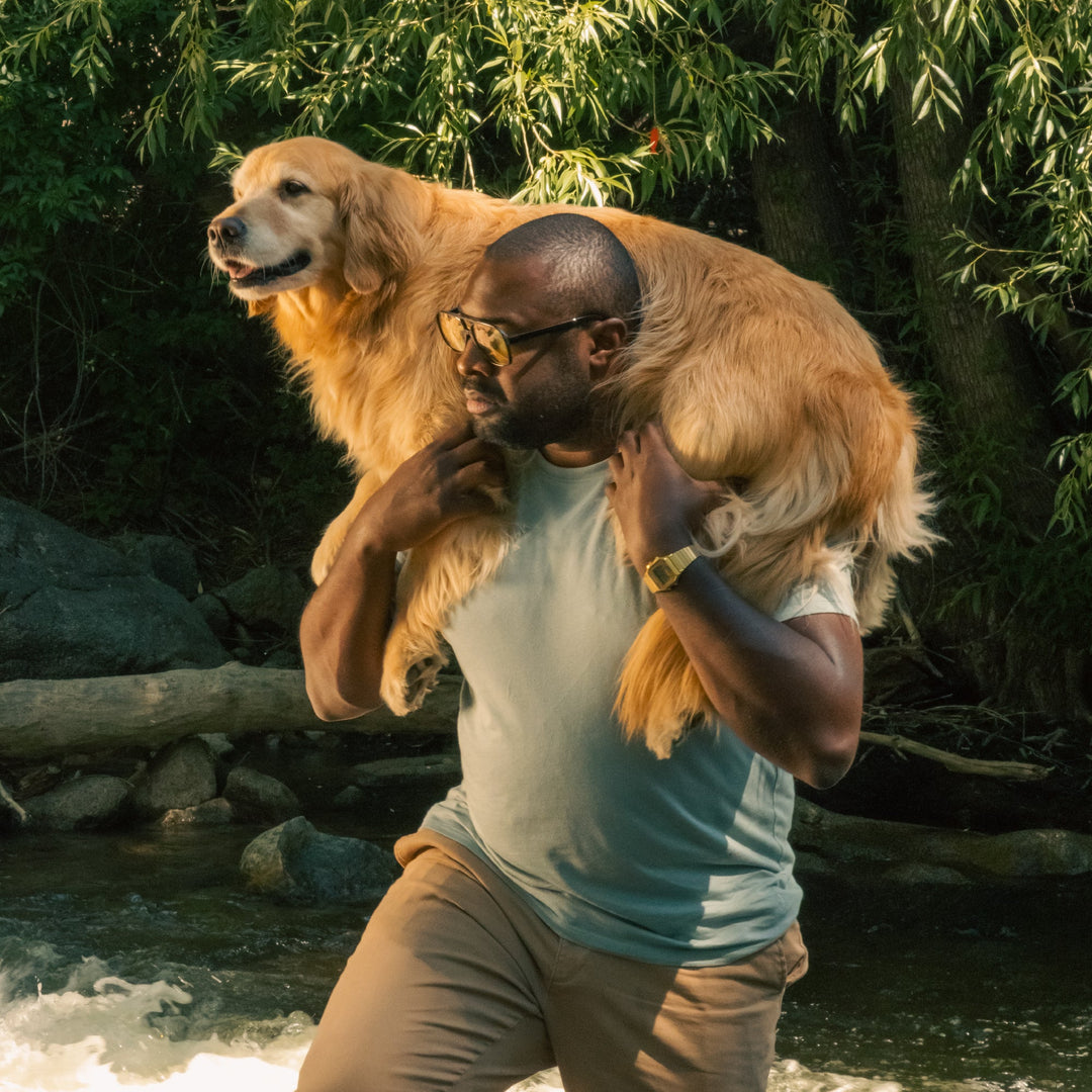 The Morning Haze | Light Slate Blue Everyman™ T Shirt