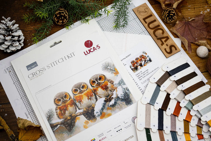 Owls in The Silence of Winter BU5077L Counted Cross-Stitch Kit