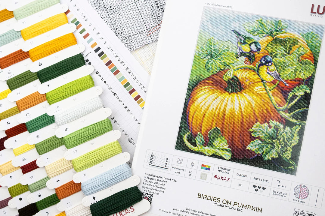 Birdies On Pumpkin Counted Cross-Stitch Kit by Luca-S BU5094L