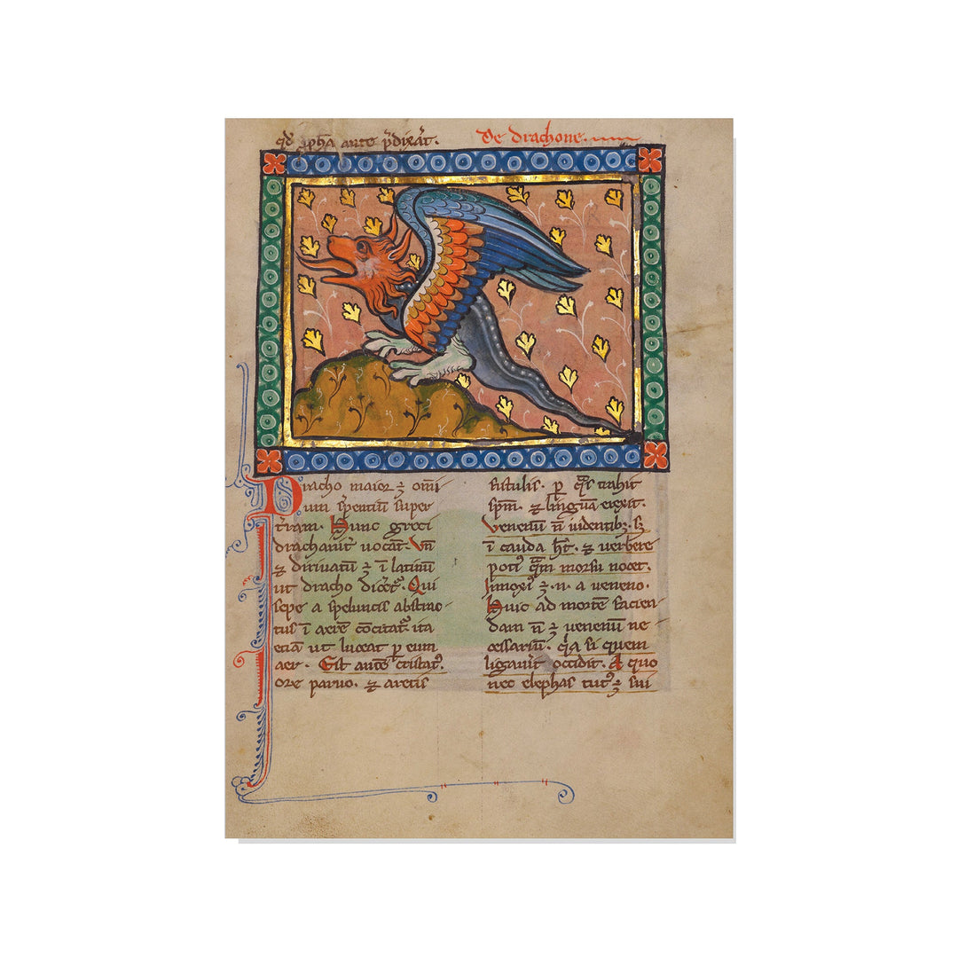 A Dragon - Postcard