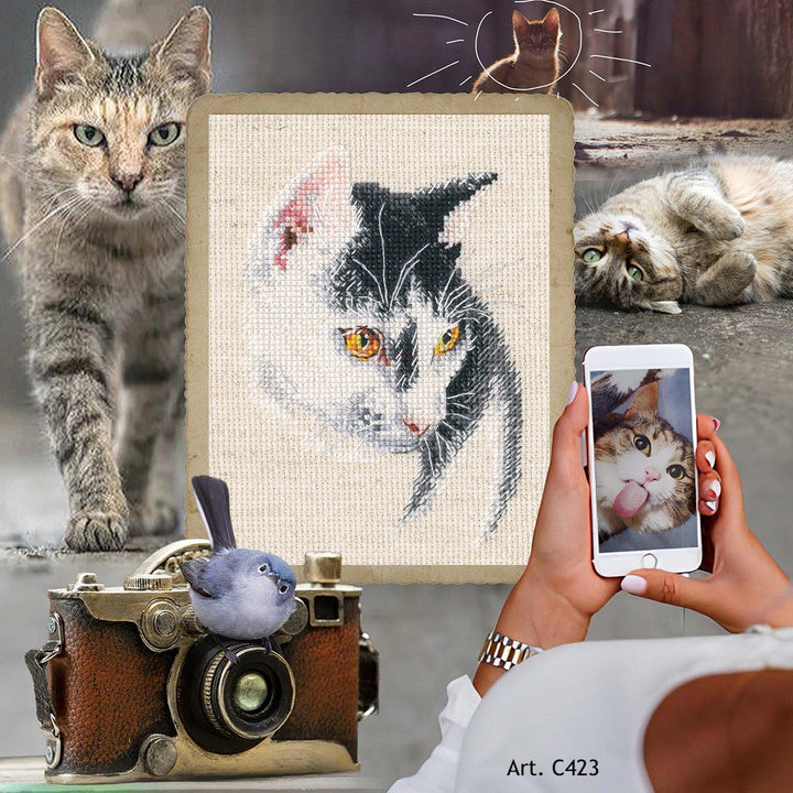 Fascinating C423 Counted Cross Stitch Kit