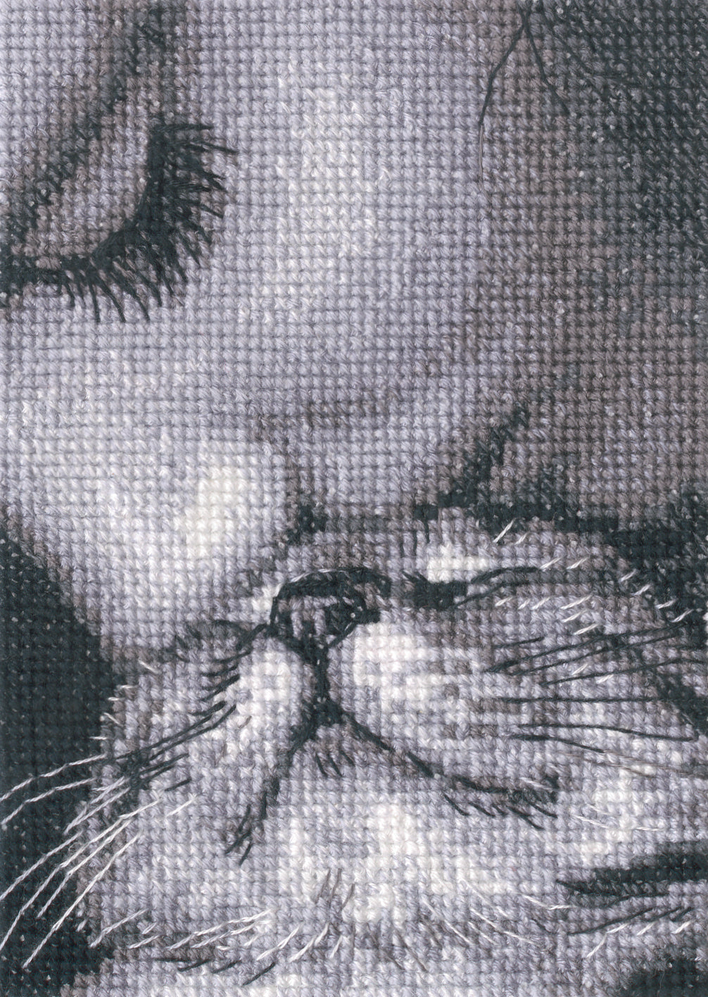 Admirers C425 Counted Cross Stitch Kit