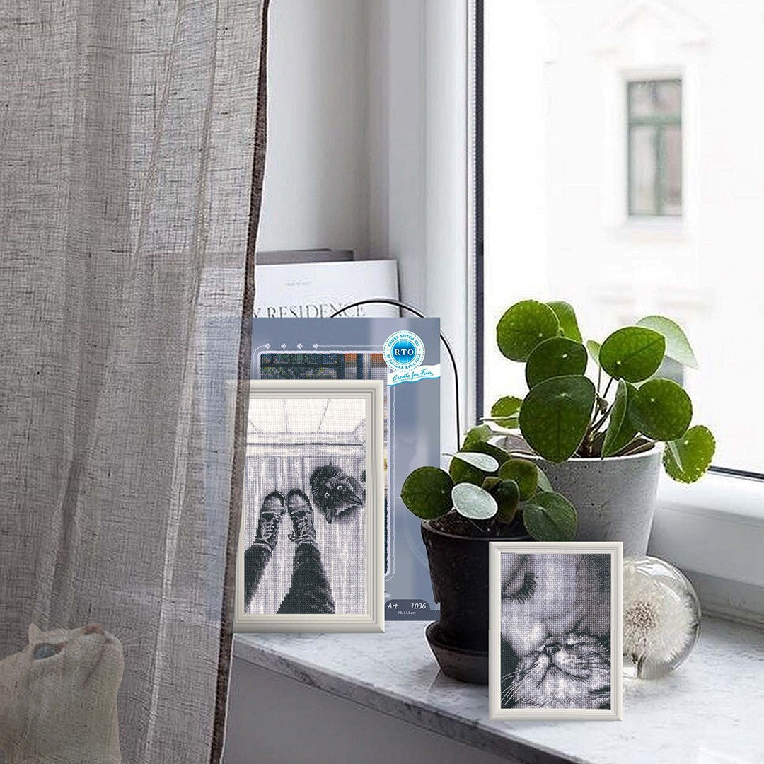 Admirers C425 Counted Cross Stitch Kit