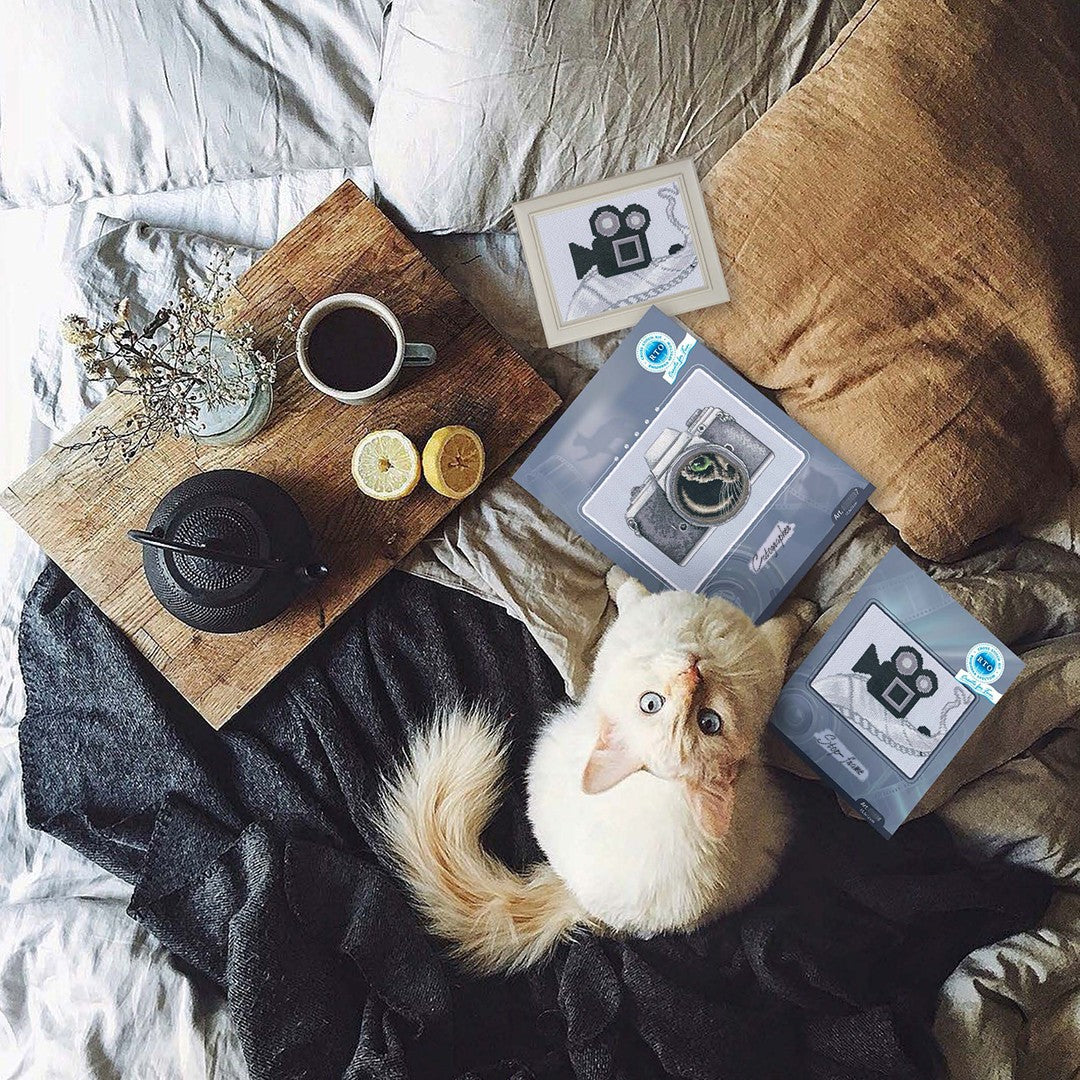 Stop-frame C438 Counted Cross Stitch Kit