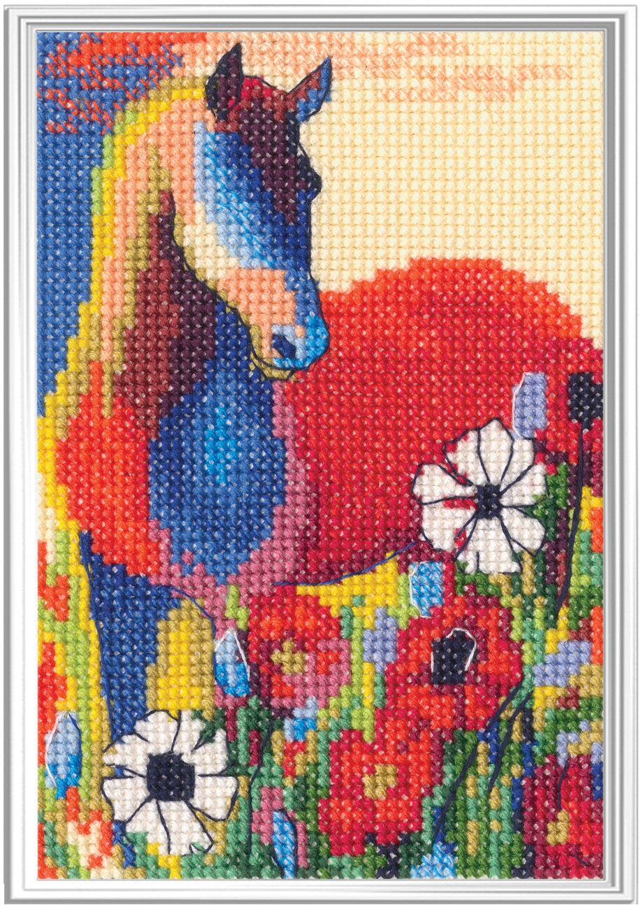 Revelation of Color Counted Cross Stitch Kit by RTO C447
