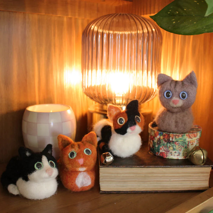 Cartoon Cat Loaf Needle Felting Kit by The Makerss KTS-CartoonCatLoaf-Complete