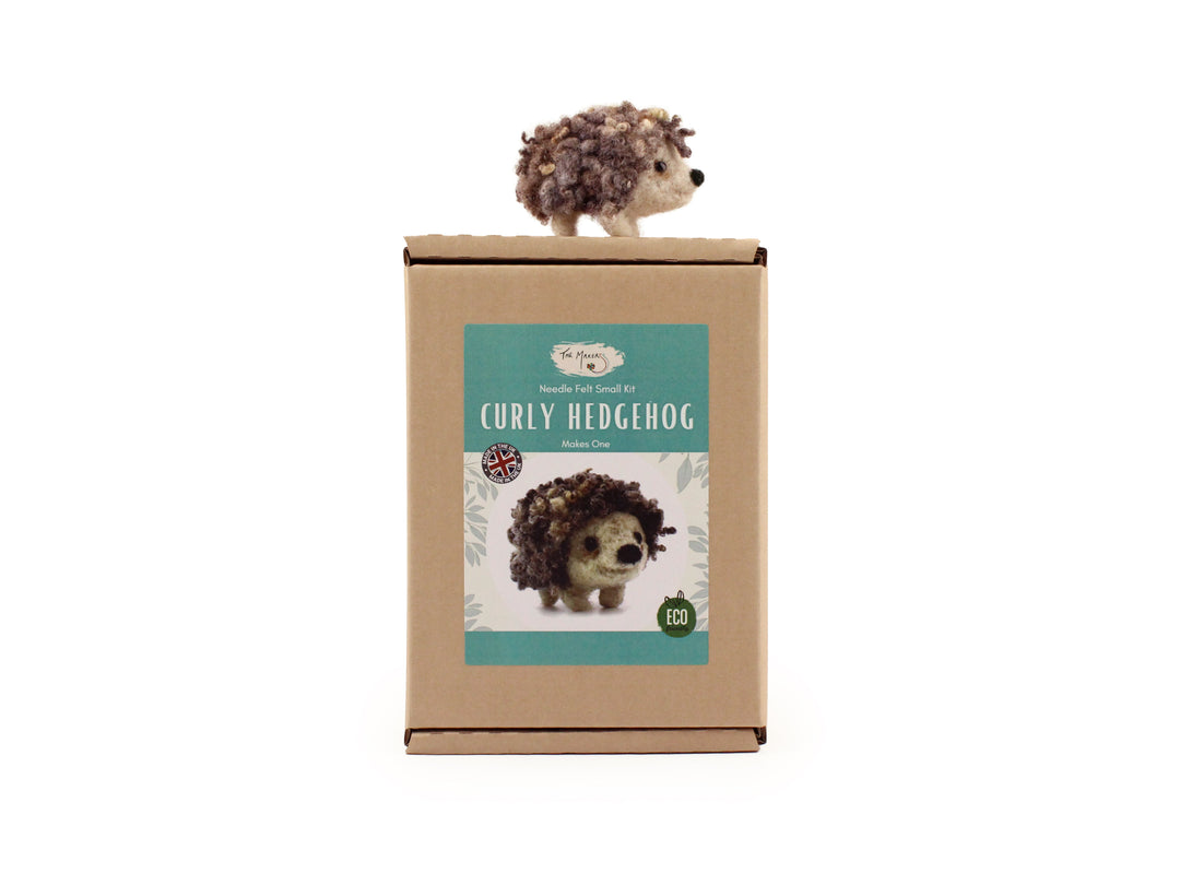 Felting Kit -  Curly Hedgehog Small Kit Needle Felting Kit