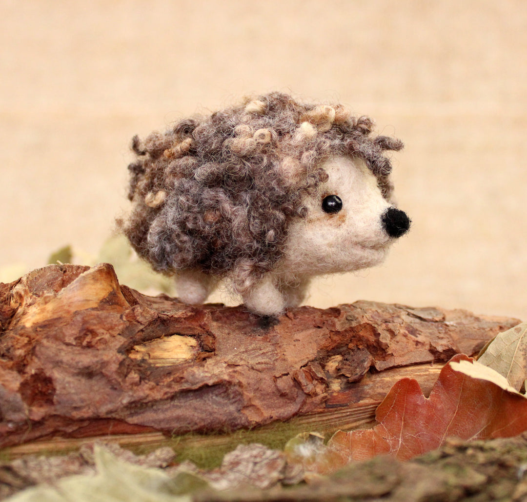 Felting Kit -  Curly Hedgehog Small Kit Needle Felting Kit