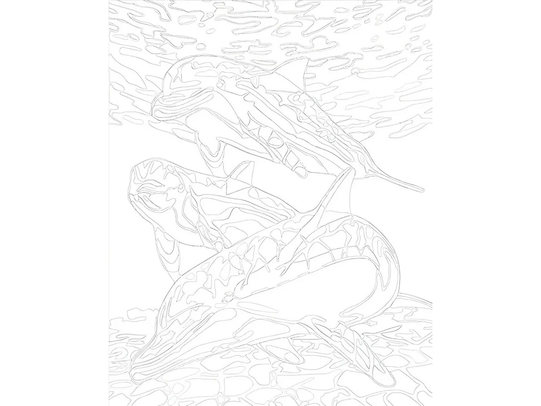 Dolphin Paint by Numbers Kit F07M1-6-Dolphin