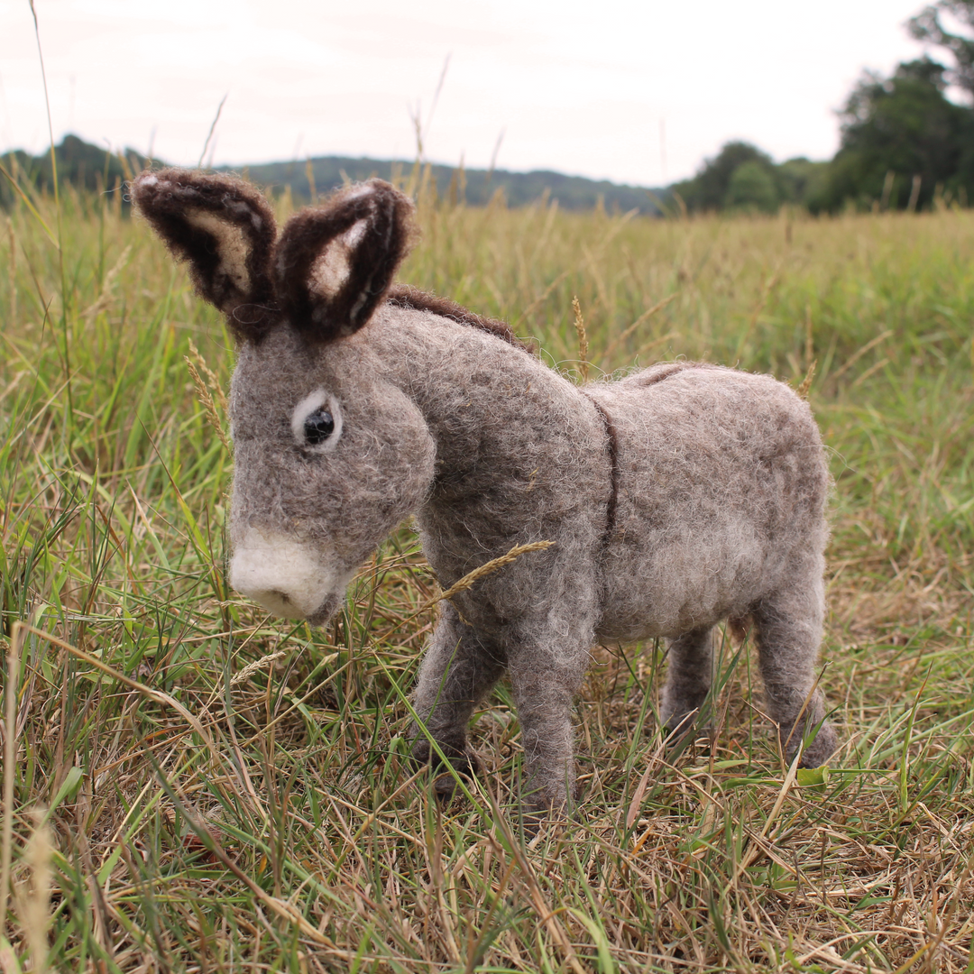 Donkey Needle Felting Kit by The Makerss PK-LargeDonkeyComplete