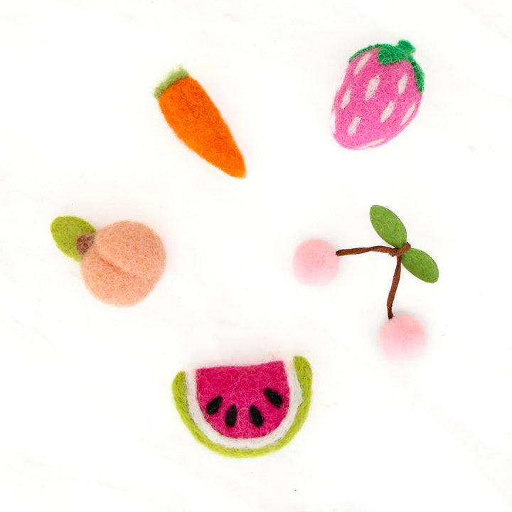 Felt fruit magnet set