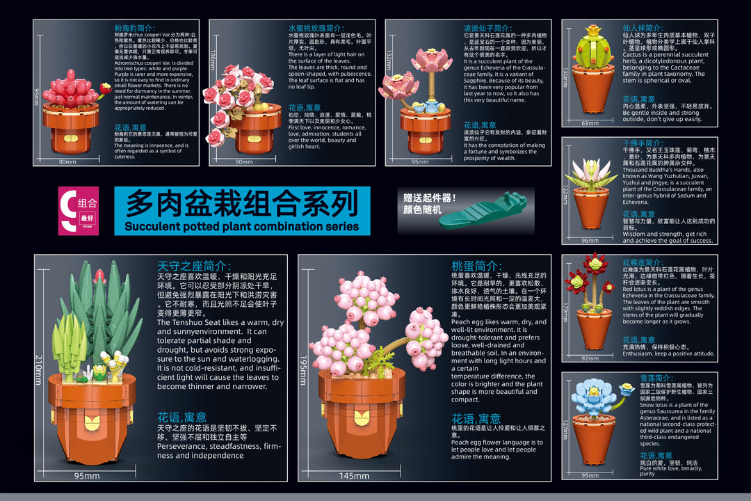 Succulents Building Brick Potted Plant Kit by Wizardi F07N11-10-1(118)
