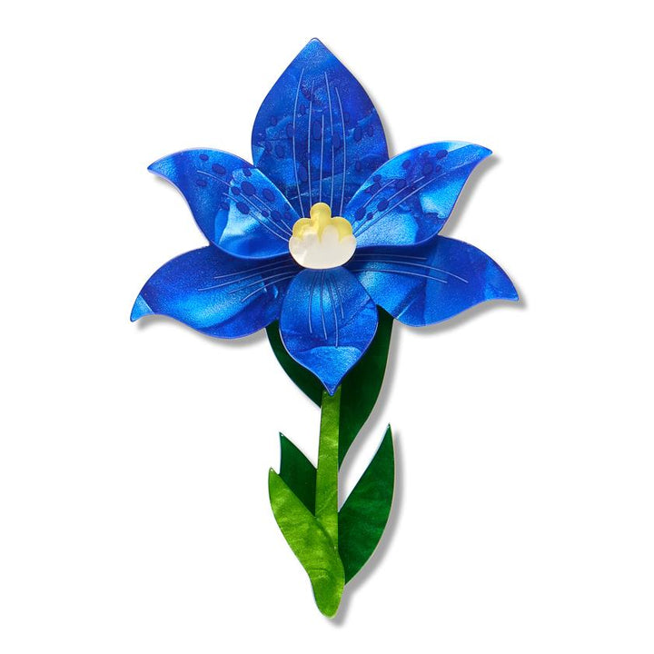 Spotted Sun-Orchid Brooch enamel brooch by Erstwilder x Royal Botanic Gardens Victoria – front view