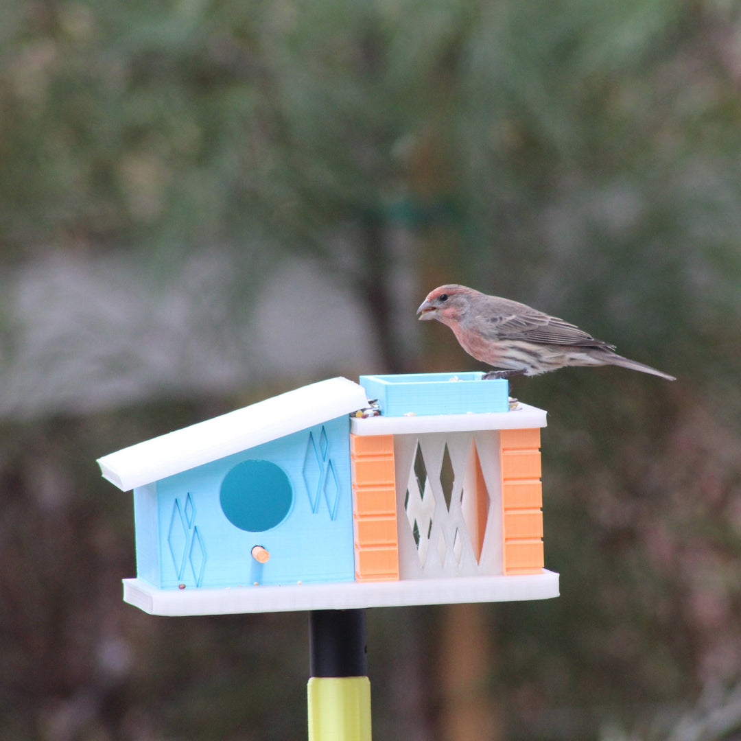 Midcentury Modern Birdhouse The Addison