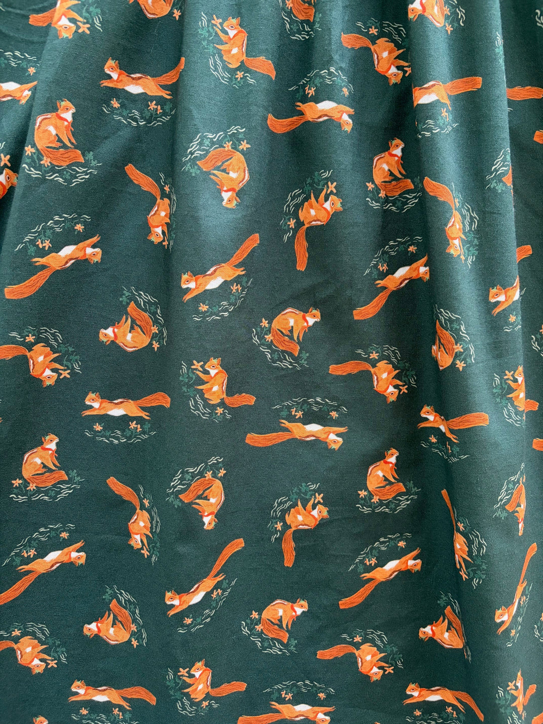 Chipmunks Fit & Flare Dress