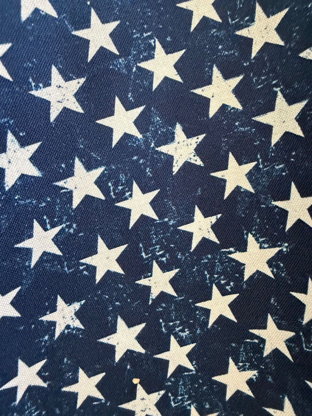 Stars Skater Skirt