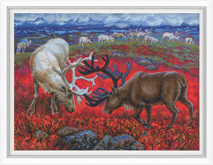 Law of the tundra M1014 Counted Cross Stitch Kit