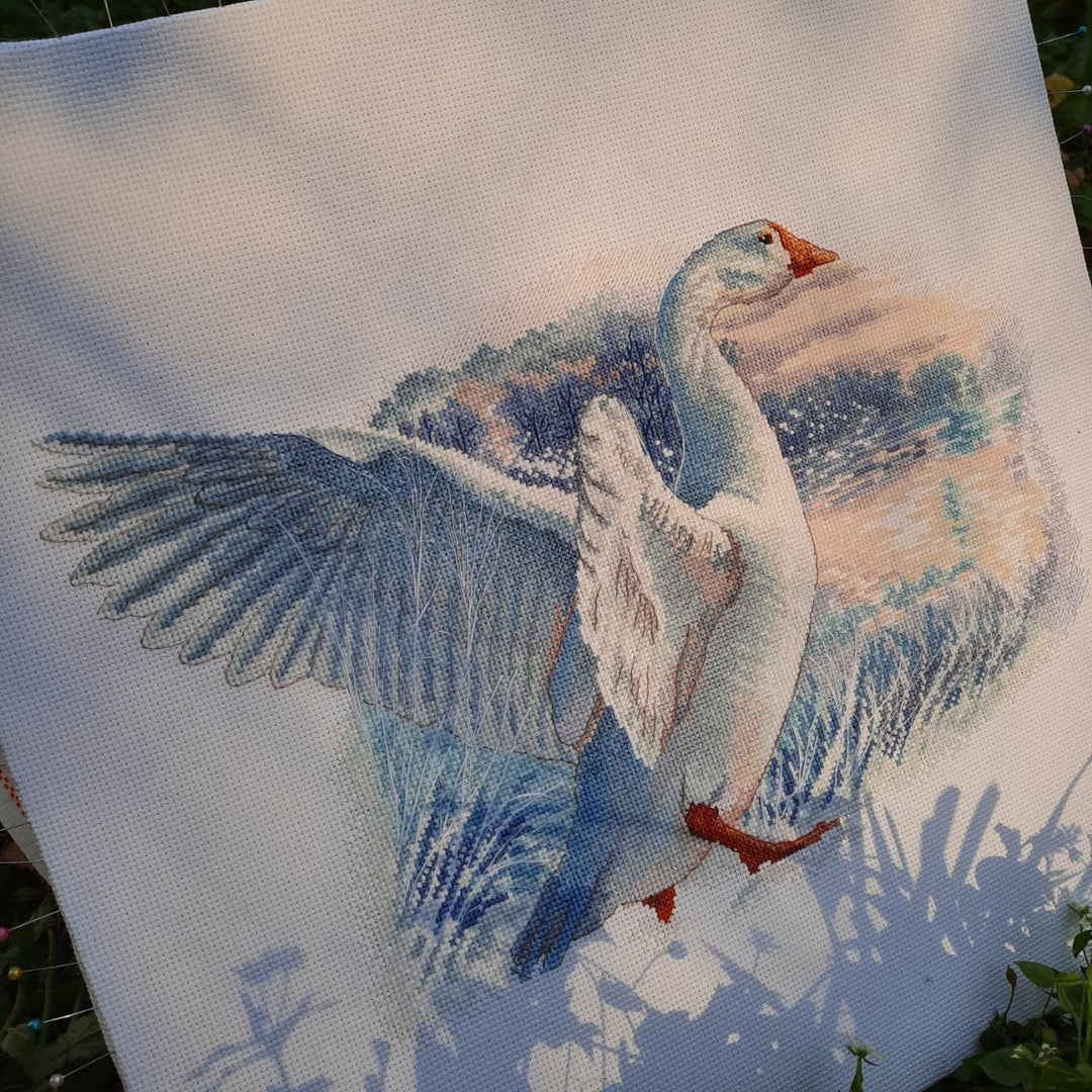 Snow goose M855 Counted Cross Stitch Kit